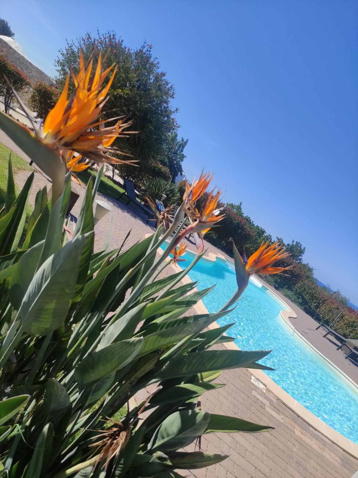 B&B La Vigna Carovigno Kültér fotó